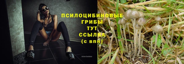 молекула духа Кукмор