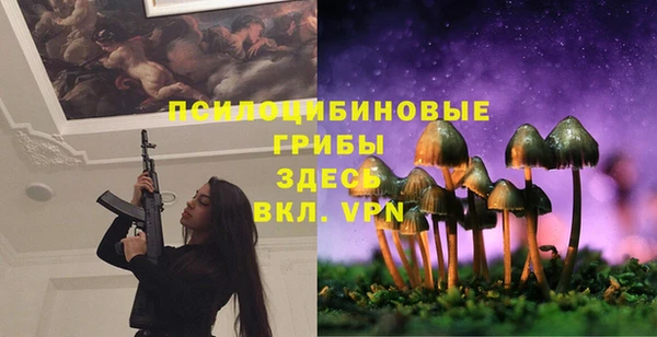 экстази Кулебаки