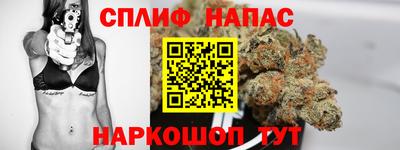 дживик Гусиноозёрск