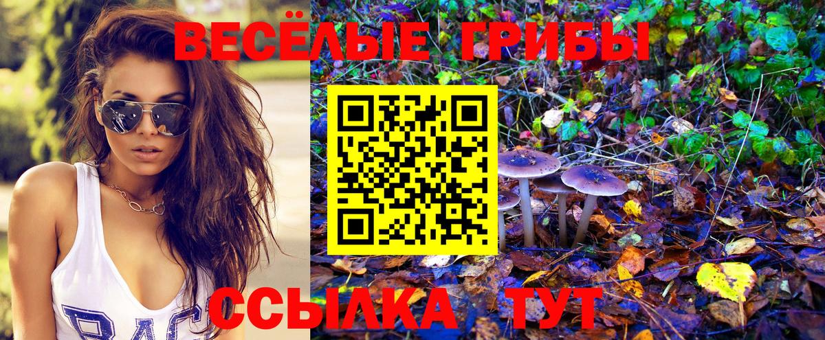 Чапаевск  Галлюциногенные грибы мицелий  Галлюциногенные грибы ЛСД  Вход с VPN 